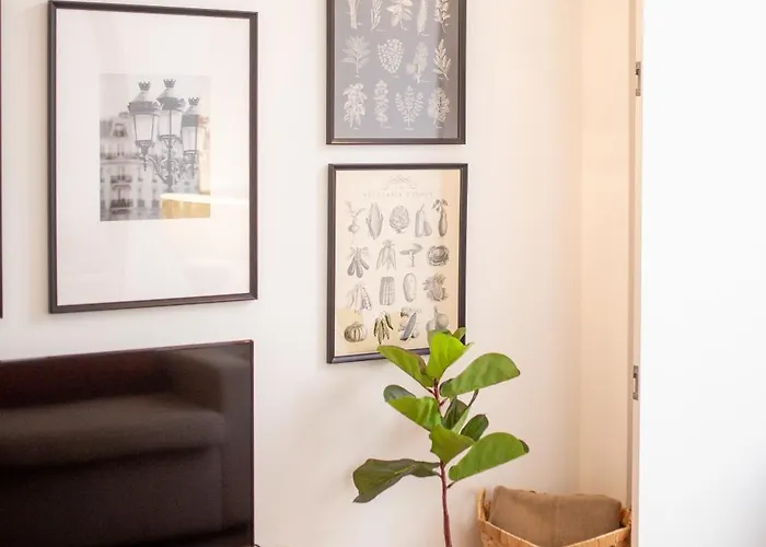 Bolhao - Dixo's Viii