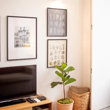 Bolhao - Dixo's Viii