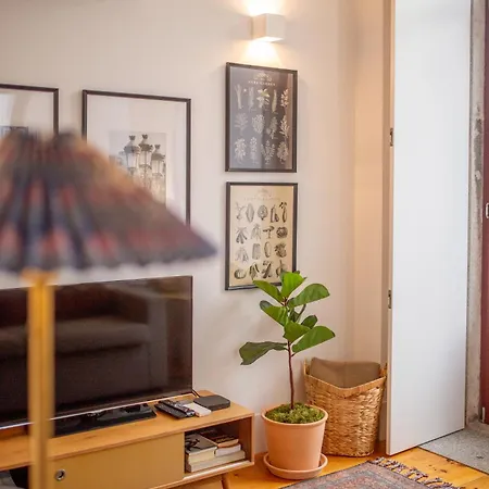 Bolhao - Dixo's Viii Apartment *