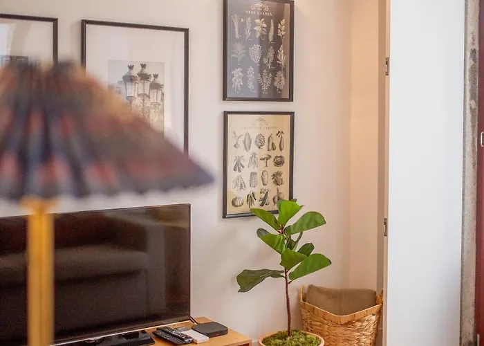 Bolhao - Dixo's Viii Apartment *